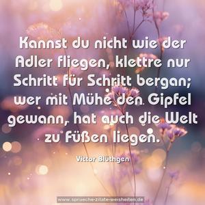 Kannst du nicht wie der Adler fliegen,
klettre nur Schritt für Schritt bergan;
wer mit Mühe den Gipfel gewann,
hat auch die Welt zu Füßen liegen.
