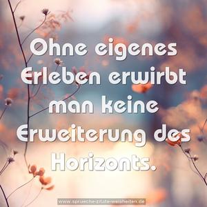 Ohne eigenes Erleben
erwirbt man keine Erweiterung des Horizonts.