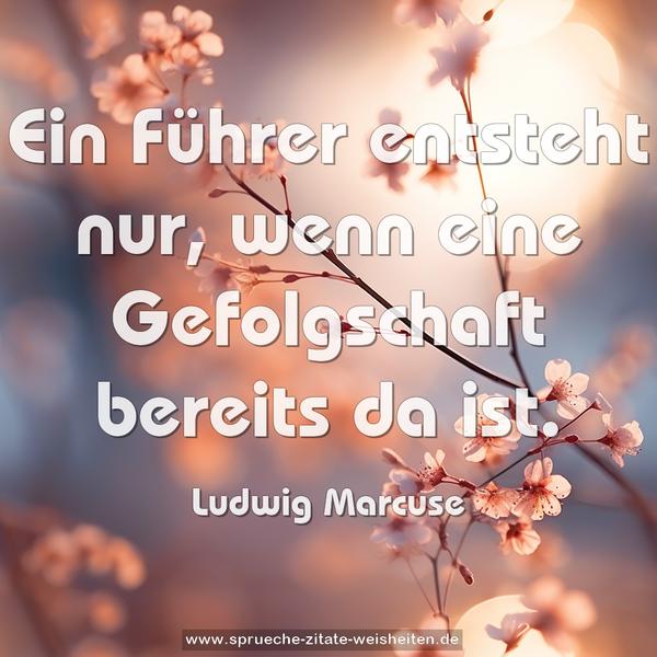 Ein Führer entsteht nur,
wenn eine Gefolgschaft bereits da ist.