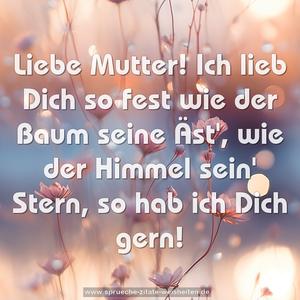 Liebe Mutter!
Ich lieb Dich so fest
wie der Baum seine Äst',
wie der Himmel sein' Stern,
so hab ich Dich gern!