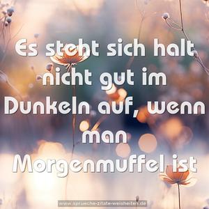 Es steht sich halt nicht gut im Dunkeln auf,
wenn man Morgenmuffel ist