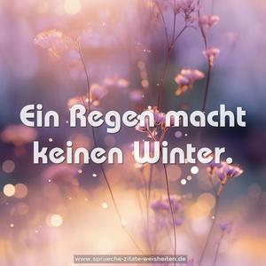 Ein Regen macht keinen Winter.