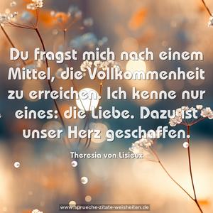 Du fragst mich nach einem Mittel,
die Vollkommenheit zu erreichen.
Ich kenne nur eines: die Liebe.
Dazu ist unser Herz geschaffen.