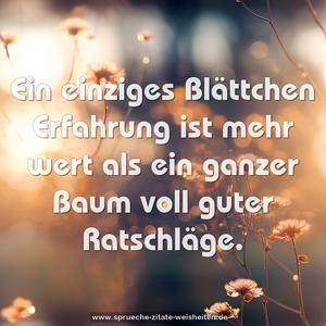 Ein einziges Blättchen Erfahrung
ist mehr wert als ein ganzer Baum voll guter Ratschläge.