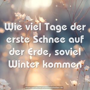 Wie viel Tage der erste Schnee auf der Erde,
soviel Winter kommen