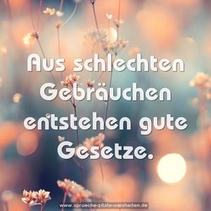 Aus schlechten Gebräuchen entstehen gute Gesetze. 