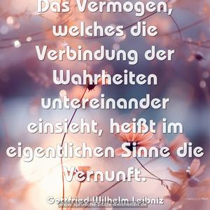 Das Vermögen,
welches die Verbindung der Wahrheiten untereinander einsieht, heißt im eigentlichen Sinne die Vernunft.