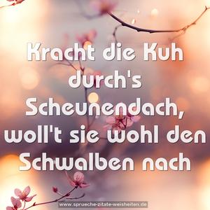 Kracht die Kuh durch's Scheunendach,
woll't sie wohl den Schwalben nach
