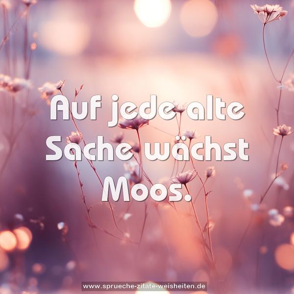 Auf jede alte Sache wächst Moos.