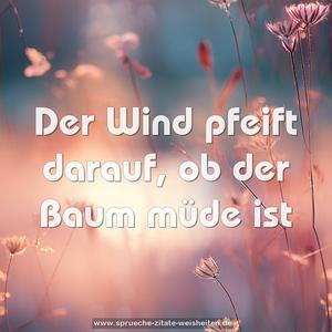 Der Wind pfeift darauf, ob der Baum müde ist