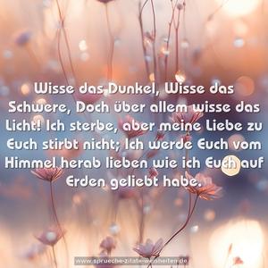 Wisse das Dunkel,
Wisse das Schwere,
Doch über allem wisse das Licht!
Ich sterbe, aber meine Liebe zu Euch stirbt nicht;
Ich werde Euch vom Himmel herab lieben
wie ich Euch auf Erden geliebt habe.