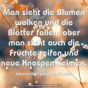 Man sieht die Blumen welken
und die Blätter fallen,
aber man sieht auch die Früchte reifen
und neue Knospen keimen.