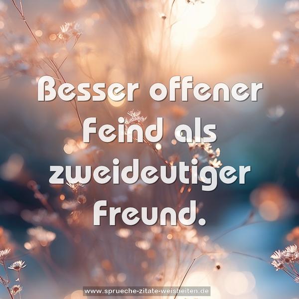 Besser offener Feind als zweideutiger Freund.