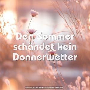 Den Sommer schändet kein Donnerwetter