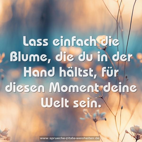 Lass einfach die Blume,
die du in der Hand hältst,
für diesen Moment deine Welt sein.