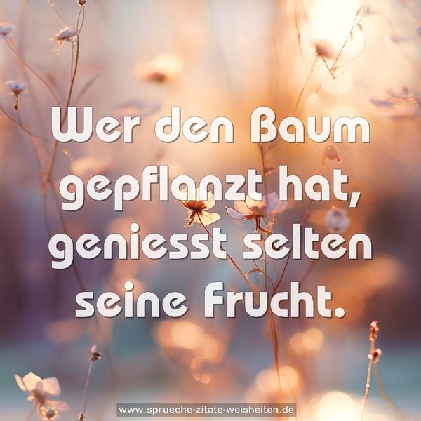 Wer den Baum gepflanzt hat,
geniesst selten seine Frucht.