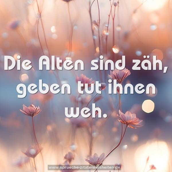 Die Alten sind zäh,
geben tut ihnen weh.