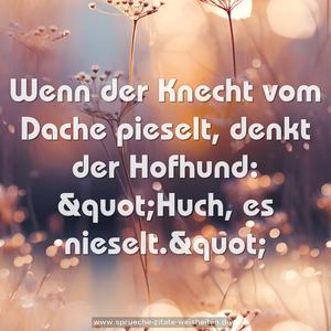 Wenn der Knecht vom Dache pieselt, denkt der Hofhund:
&quot;Huch, es nieselt.&quot; 