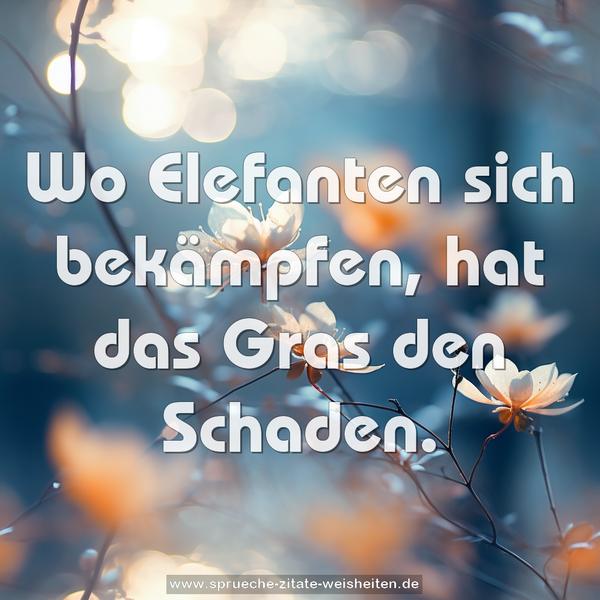 Wo Elefanten sich bekämpfen, hat das Gras den Schaden.