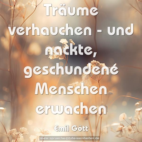 Träume verhauchen -
und nackte, geschundene Menschen erwachen