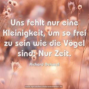 Uns fehlt nur eine Kleinigkeit, 
um so frei zu sein wie die Vögel sind: Nur Zeit.