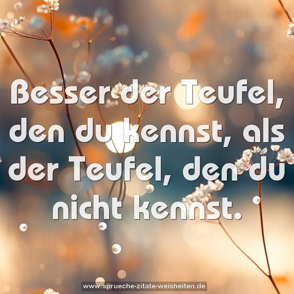 Besser der Teufel, den du kennst,
als der Teufel, den du nicht kennst.