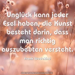 Unglück kann jeder Esel haben, die Kunst besteht darin,
dass man richtig auszubeuten versteht.