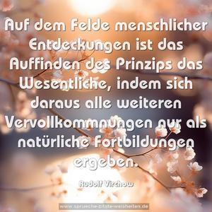 Auf dem Felde menschlicher Entdeckungen ist das Auffinden des Prinzips das Wesentliche, indem sich daraus alle weiteren Vervollkommnungen nur als natürliche Fortbildungen ergeben.