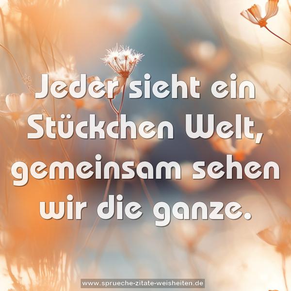 Jeder sieht ein Stückchen Welt,
gemeinsam sehen wir die ganze.
