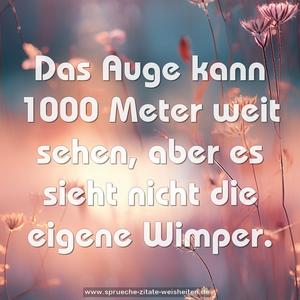 Das Auge kann 1000 Meter weit sehen,
aber es sieht nicht die eigene Wimper.