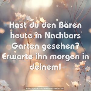 Hast du den Bären heute in Nachbars Garten gesehen?
Erwarte ihn morgen in deinem!