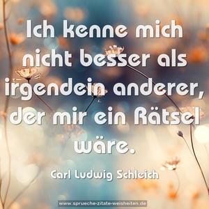 Ich kenne mich nicht besser als irgendein anderer,
der mir ein Rätsel wäre.