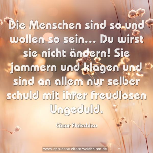 Die Menschen sind so und wollen so sein…
Du wirst sie nicht ändern!
Sie jammern und klagen und sind an allem nur selber schuld
mit ihrer freudlosen Ungeduld.