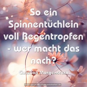 So ein Spinnentüchlein voll Regentropfen - 
wer macht das nach?