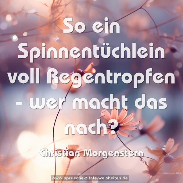 So ein Spinnentüchlein voll Regentropfen -
wer macht das nach?