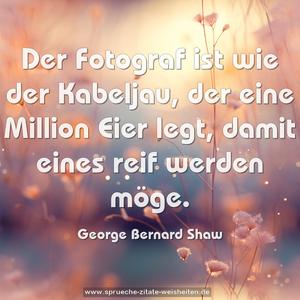 Der Fotograf ist wie der Kabeljau, der eine Million Eier legt, damit eines reif werden möge.