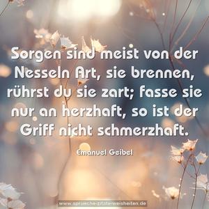 Sorgen sind meist von der Nesseln Art,
sie brennen, rührst du sie zart;
fasse sie nur an herzhaft,
so ist der Griff nicht schmerzhaft.