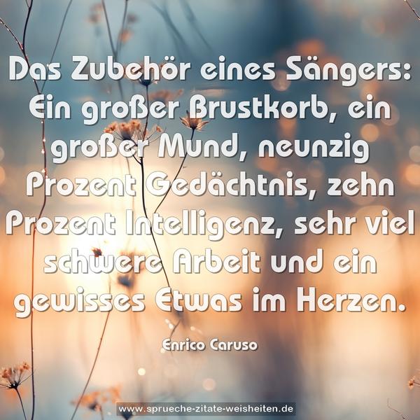 Das Zubehör eines Sängers:
Ein großer Brustkorb, ein großer Mund, neunzig Prozent Gedächtnis, zehn Prozent Intelligenz, sehr viel schwere Arbeit und ein gewisses Etwas im Herzen. 