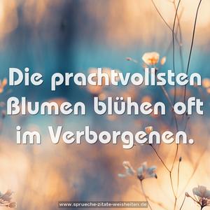 Die prachtvollsten Blumen blühen oft im Verborgenen.