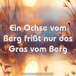 Ein Ochse vom Berg frißt nur das Gras vom Berg