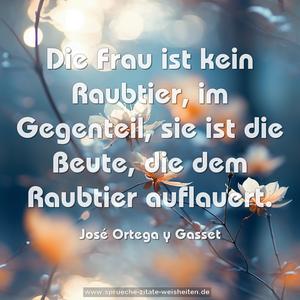 Die Frau ist kein Raubtier,
im Gegenteil, sie ist die Beute,
die dem Raubtier auflauert.