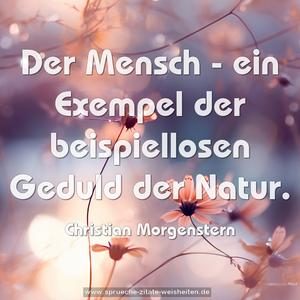 Der Mensch -
ein Exempel der beispiellosen Geduld der Natur.