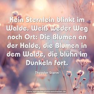 Kein Sternlein blinkt im Walde.
Weiß weder Weg noch Ort:
Die Blumen an der Halde,
die Blumen in dem Walde,
die blühn im Dunkeln fort.
