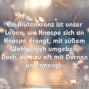 Ein Blütenkranz ist unser Leben,
wo Knospe sich an Knospe drängt,
mit süßem Wohlgeruch umgeben.
Doch, ach, zu oft mit Dornen untermengt.