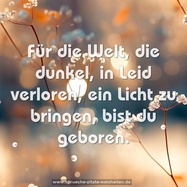 Für die Welt, die dunkel, in Leid verloren,
ein Licht zu bringen, bist du geboren.