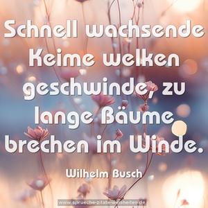 Schnell wachsende Keime welken geschwinde,
zu lange Bäume brechen im Winde.