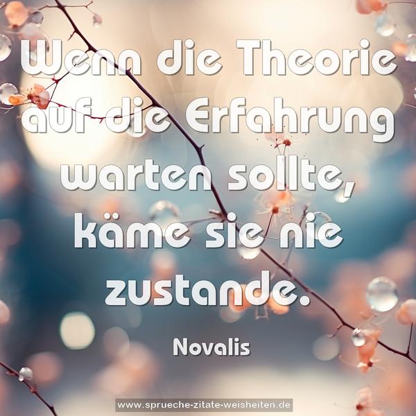 Wenn die Theorie auf die Erfahrung warten sollte,
käme sie nie zustande.