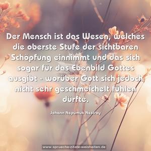 Der Mensch ist das Wesen, welches die oberste Stufe der sichtbaren Schöpfung einnimmt und das sich sogar für das Ebenbild Gottes ausgibt - worüber Gott sich jedoch nicht sehr geschmeichelt fühlen dürfte.