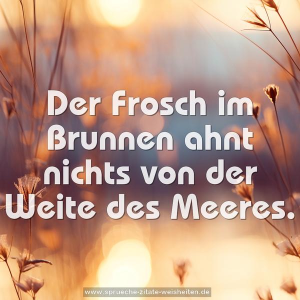 Der Frosch im Brunnen
ahnt nichts von der Weite des Meeres.
