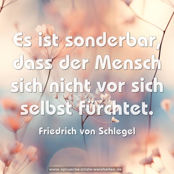 Es ist sonderbar,
dass der Mensch sich nicht vor sich selbst fürchtet.
